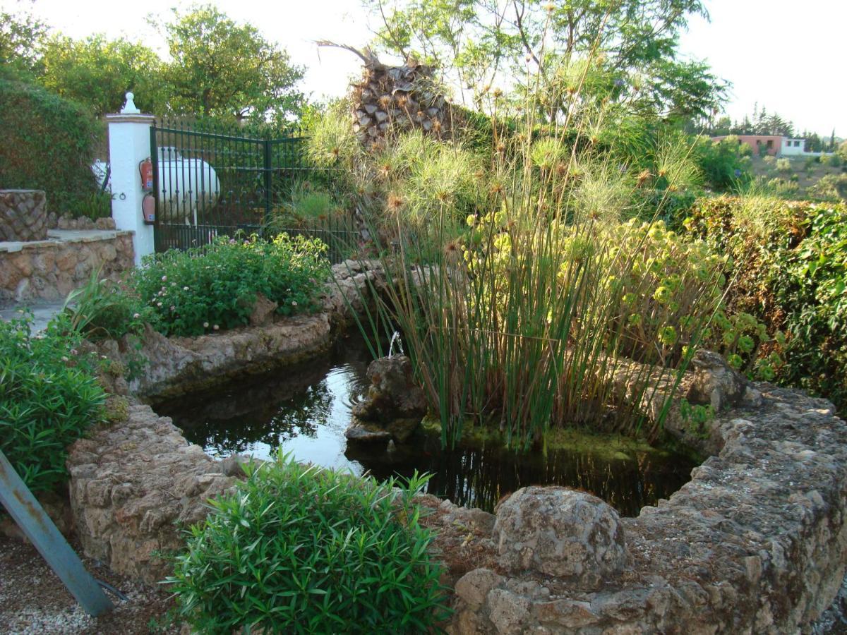 Tu Villa Rural Cortijo Los Cantos 7 Dormitorios Piscina Privada Alhaurín el Grande Exteriör bild